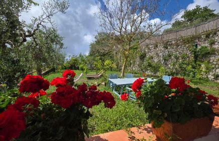 Agriturismo Fattoria Terranova - Foto 42