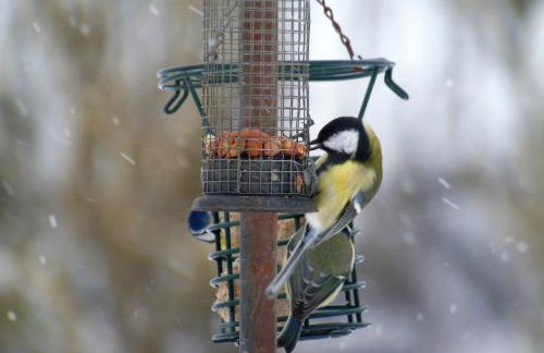 Pwllgwilym B & B - Foto 25