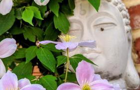 Lychen-Daheim, Studio im Herzen von Lychen - Photo 7