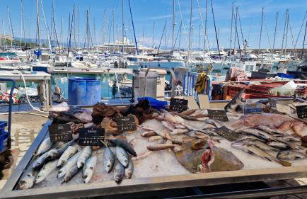 Registered Accomodation 4 stars and 30mn Nice Cannes Antibes - Foto 34