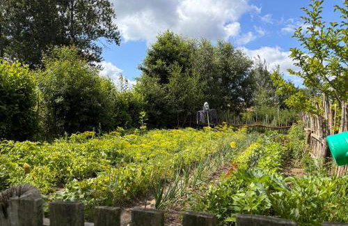 Domki Białogarda - Foto 66