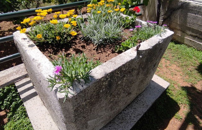 Apartments Kola - Foto 45