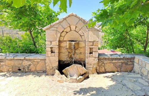 Timber Dream - Photo 25