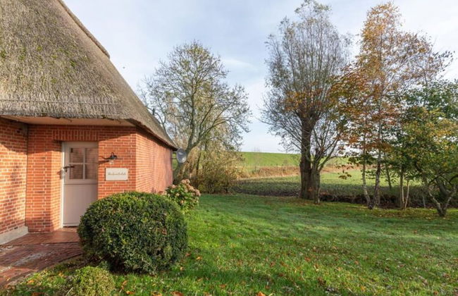 Reetgedecktes Ferienhaus mit Kachelofen - Foto 22