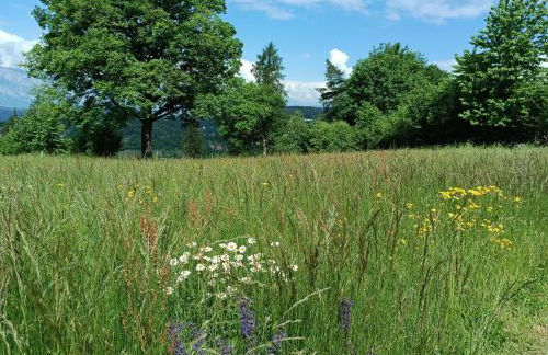 Baita dei Fovi - Foto 28