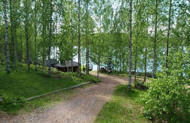 Koivukallio - Photo 28