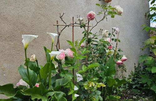 Maisons du Cerf et du Tilleul - Foto 35