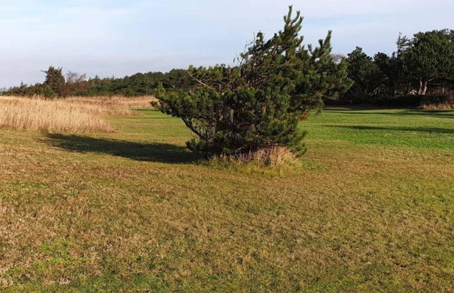 5 Person Holiday Home in Store Fuglede - Foto 10