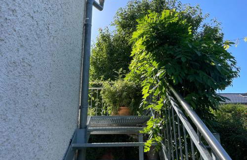 Messe- & Ferienwohnung mit Balkon nähe Uniklinik - Photo 18