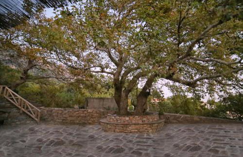 Ικαριων Γη - Photo 51