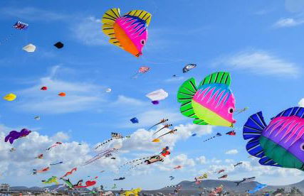 Apartamento Verdemare - Photo 67