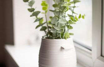 Comfortable 3-Bed House - Foto 13