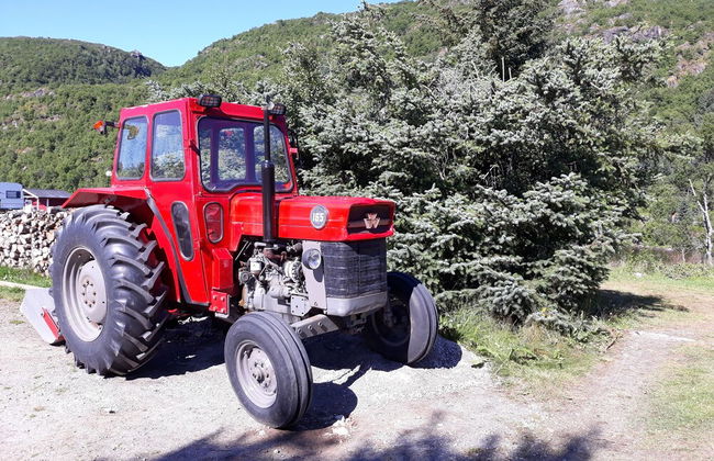 Lofoten Camp Storfjord - Foto 39