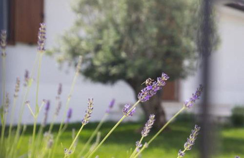 Casa Maya Deluxe Appartment with a pool - Photo 34