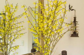 Ferienhaus Scheune - Foto 49