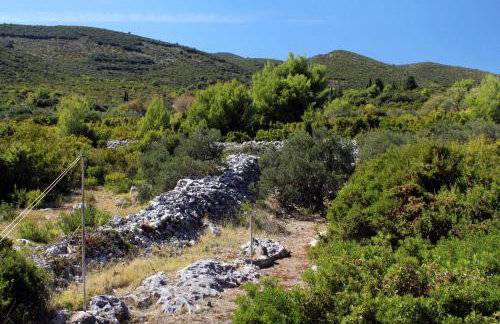 Apartments by the sea Kneza, Korcula - 9185 - Foto 17