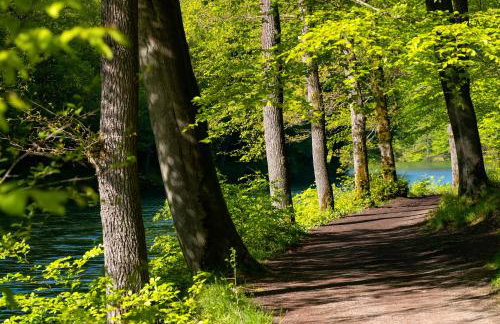 Ferienwohnungen Möhnesee - zentral, stilvoll und ruhig mit Balkon und Boxspringbetten - Foto 31