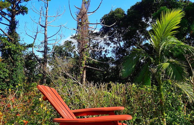 Yakushima Cottage Morino Fairy - Photo 16