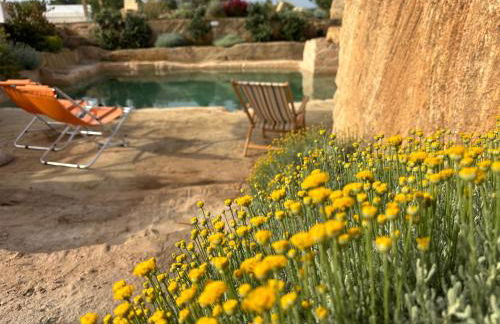 FICOMORO FARM - Foto 11