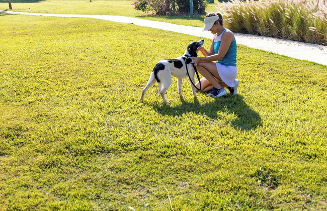 Vale das Águas Fazenda Resort - Photo 60