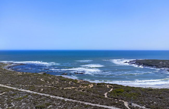 Sand Plover 85 - Foto 39