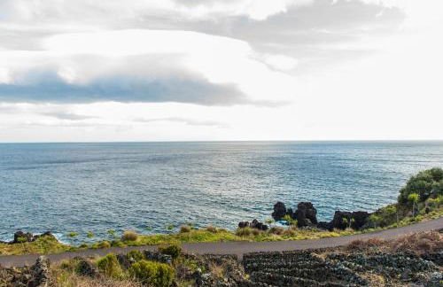 Adega Velha - Photo 14