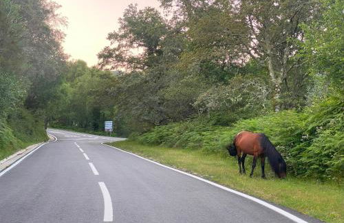 Gerês River - Apartamento na Natureza - Foto 51