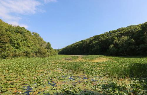 The Coach House - Foto 21