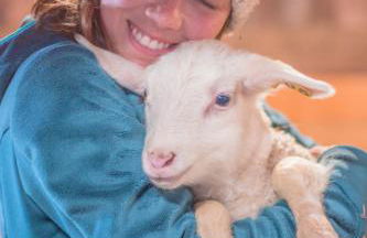 Fat Sheep Farm & Cabins - Foto 7