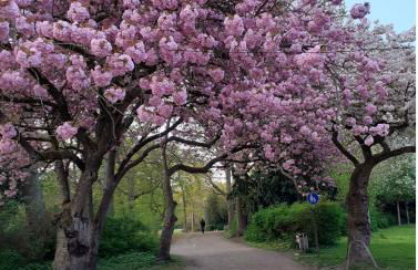 Ferienwohnung Mia - Foto 20