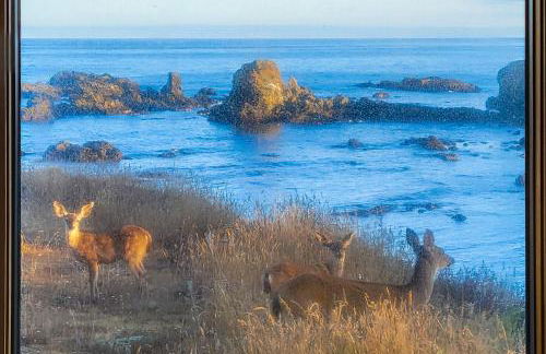 Oceanfront Retreat Close to Activities & the Beach - Photo 28