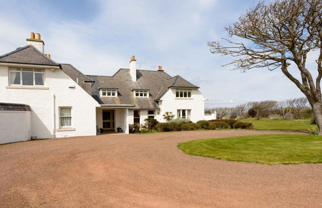 Green Craig - Foto 44