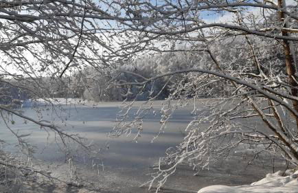 Ferienwohnung Reißmann - Foto 35
