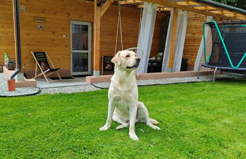 Apartamenty u Gumisia "Gumisiówka" mała agroturystyka Kłodzko Jaszkowa Górna - Foto 78