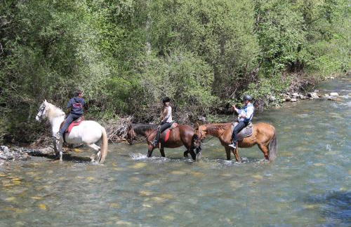 Apartamentos wifi Baqueira & Aigüestortes con jardín privado - Photo 55