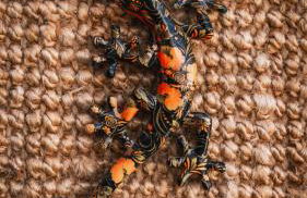 El Lagarto 1008 - Photo 29