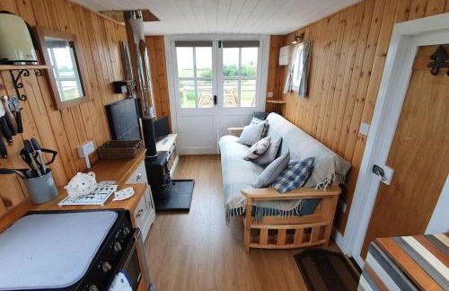 Bertha's Box - Foto 13