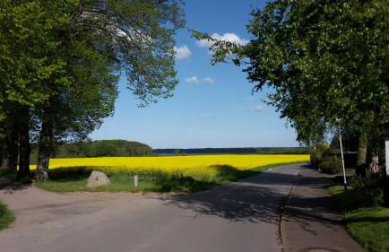 Kapitänsvilla - Foto 29