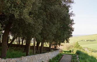 Borgo Belsedere - biofarm estate resort in Tuscany - Foto 42