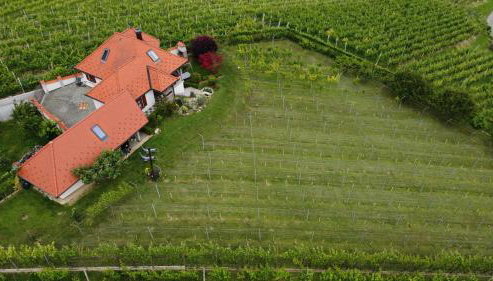 Villa Lotus - Foto 5