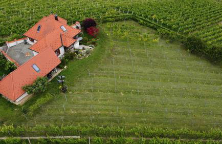 Villa Lotus - Foto 5