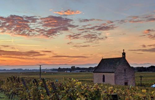 Au nid de cigo - Foto 28