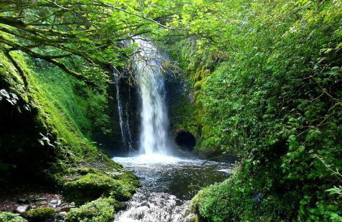 Bracken Cottage - Foto 7