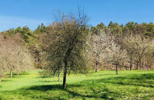 NEU Feinzeit Chalet mit privater Sauna - Foto 40