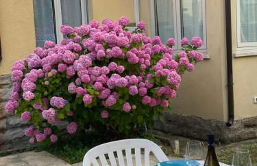 Casa Vacanza Alle Pratoline covered parking for bicycles and motorcycles - Foto 24