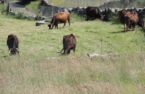 Casa do Forno - Foto 48