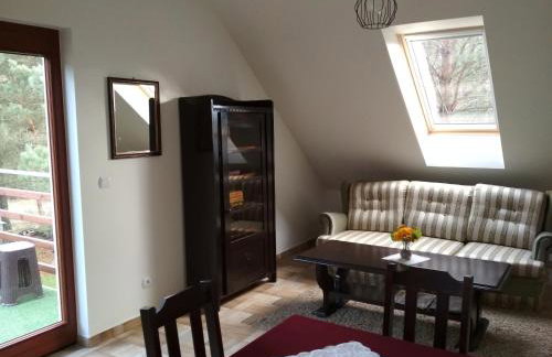 Koci Grzbiet Agroturystyka - Foto 23