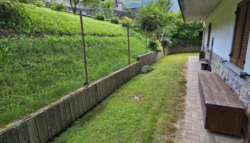 Stella Alpina - Foto 4