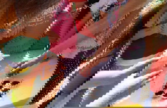 Agriturismo Fattoria Il Bruco - Foto 49