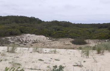 Appartement cosy - Foto 17